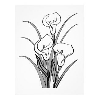 324x324 How To Draw A Calla Lily Flower Step - Calla Lily Flower Drawing