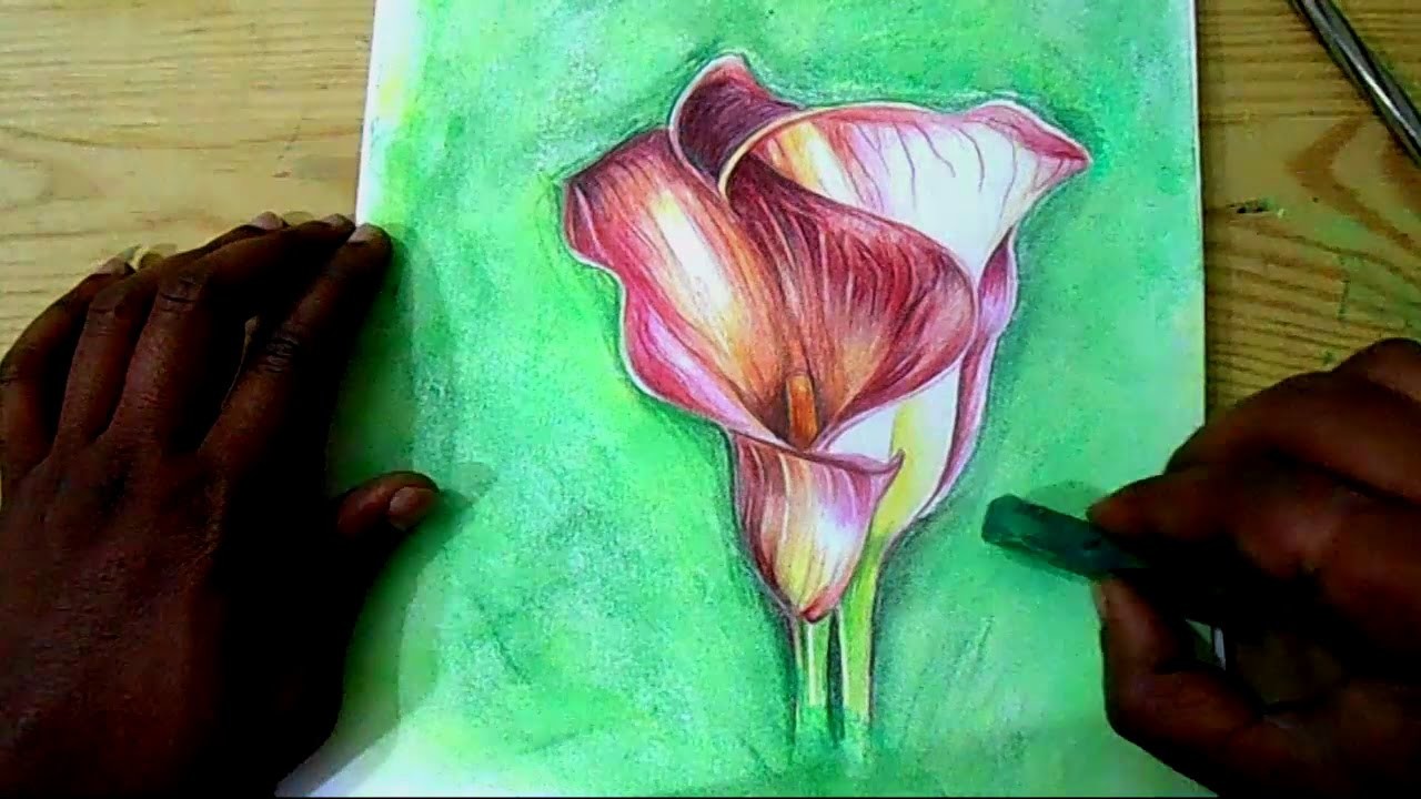 1280x720 how to draw flowers, calla lilies flower, step - Calla Lily Flower Drawing