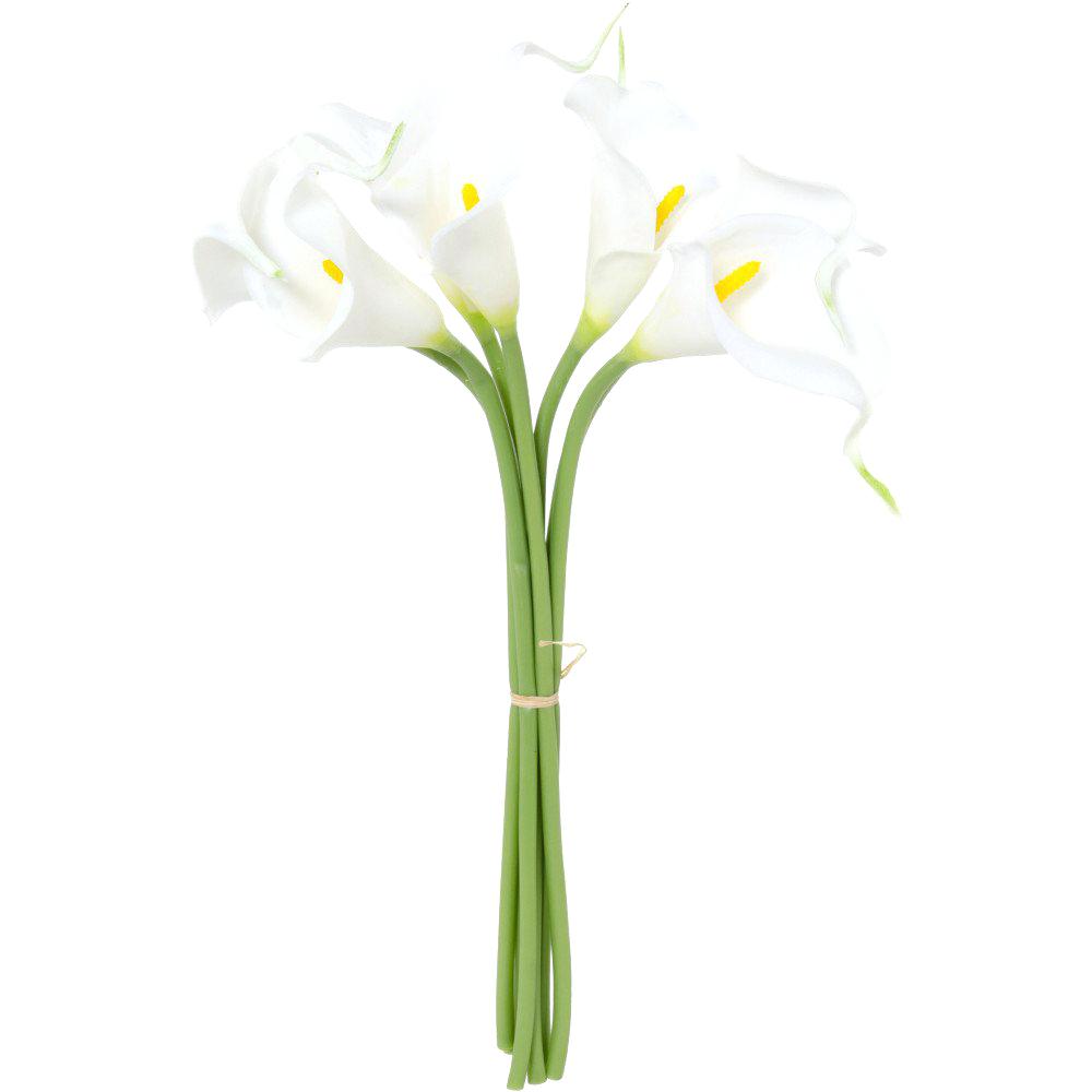 Https www calla ly gb tampliners. Calla Lilies букет. Лилли кала. Miracle Lily Flower Kuchenland. Calla Lily Round Plate.