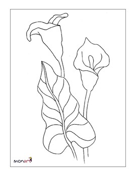 270x350 Calla Lily Drawing Project - Calla Lily Line Drawing
