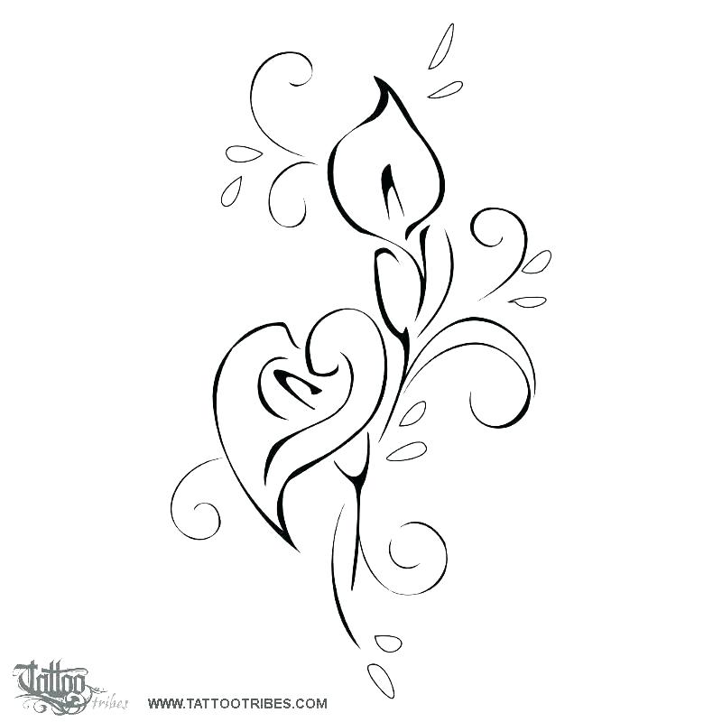 800x800 Calla Lily Line Drawing Free Pages Coloring Printable Flowers - Calla Lily Line Drawing