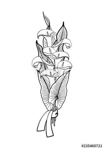 350x500 Black Graphic Drawing Of Bouquet Of Festive, Glamour Southern - Calla Lily Line Drawing