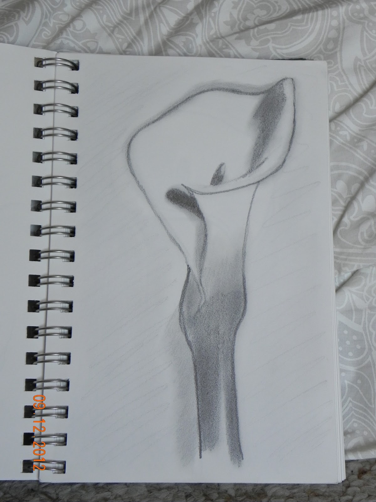 1200x1600 Art Pencil Drawings - Calla Lily Pencil Drawing
