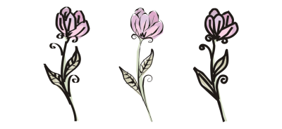 400x184 coreldraw help drawing calligraphic and preset lines - Calligraphic Line Drawing