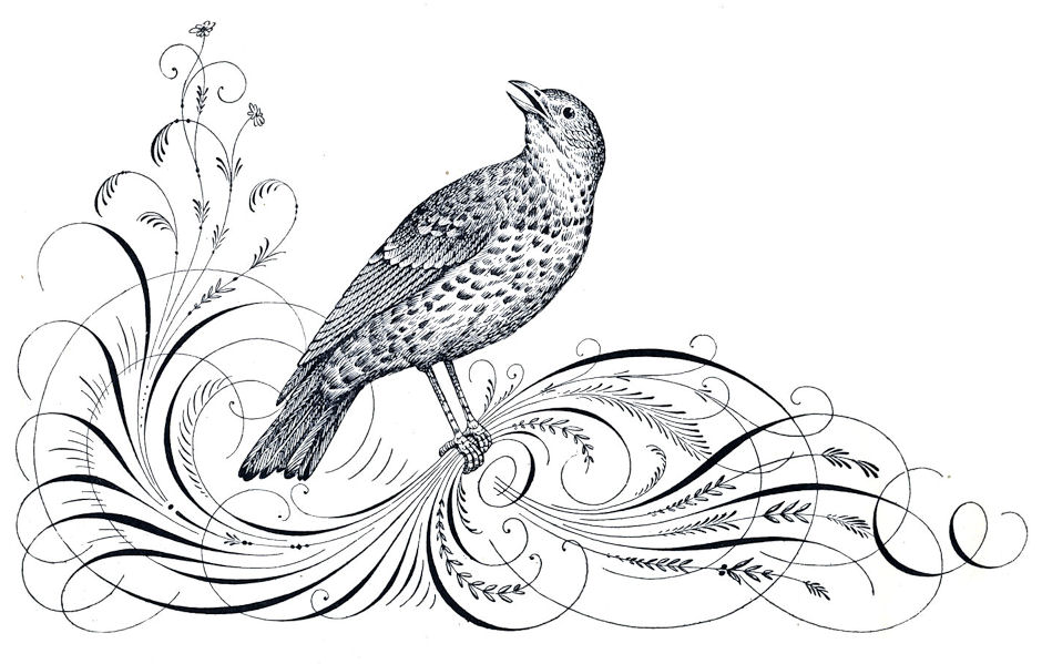 940x599 Free Antique Clip Art - Calligraphic Line Drawing
