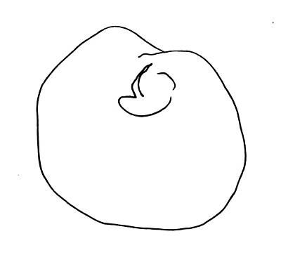 400x373 Get Down To The Basics Of Drawing With Pure Contours Contour - Calligraphic Line Drawing