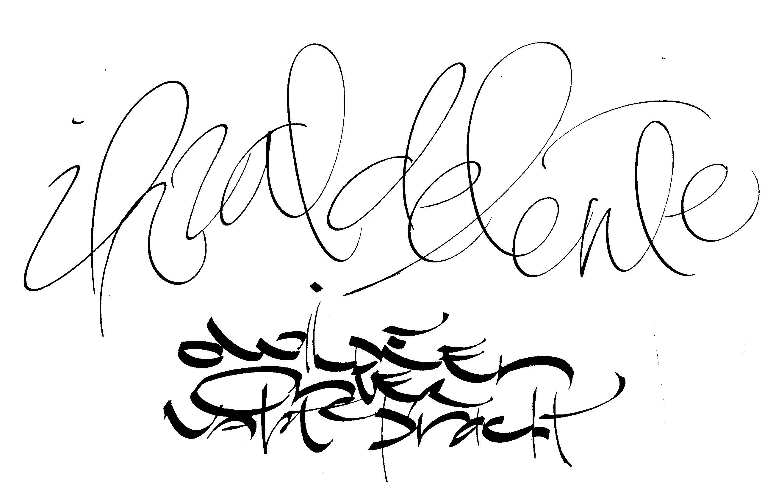 Calligraphic Line Drawing at Explore collection of