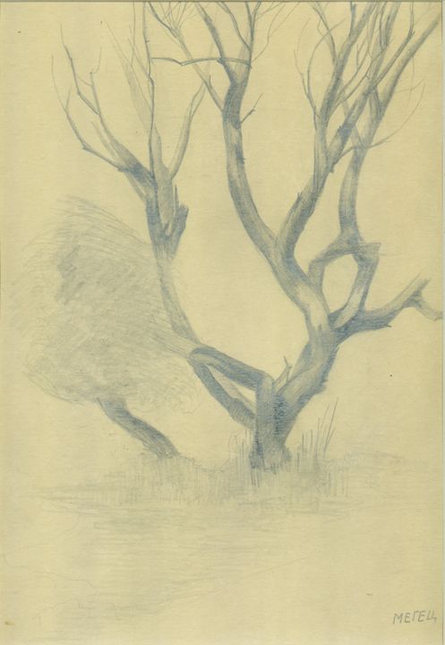 497x720 Calm Moment Of Nature - Calm Drawinging