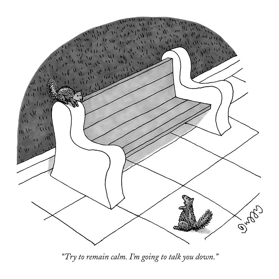 897x899 Try To Remain Calm I'm Going To Talk You Down Drawing - Calm Drawinging