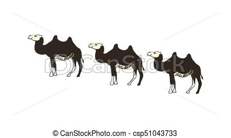 450x269 camel caravan hand drawn icon isolated on white background vector - Camel Caravan Drawing