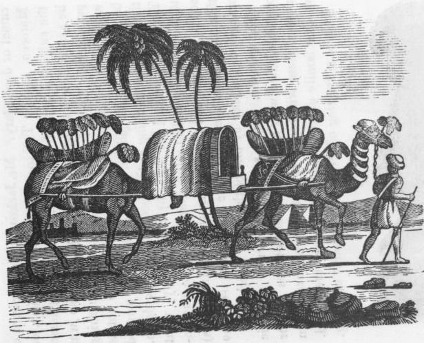 616x498 Camels Caravan - Camel Caravan Drawing