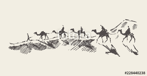 500x260 Caravan Of Camels Desert Drawn Vector Illustration Stock Image - Camel Caravan Drawing