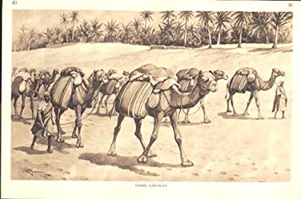 425x281 old original antique victorian print camel caravan drawing - Camel Caravan Drawing