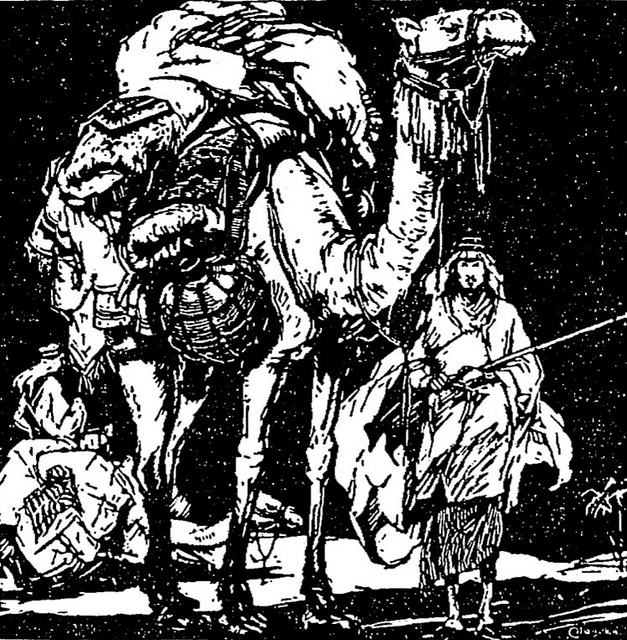 627x640 camel caravan sahibul saif sheykh abdul kerim al kibrisi - Camel Caravan Drawing