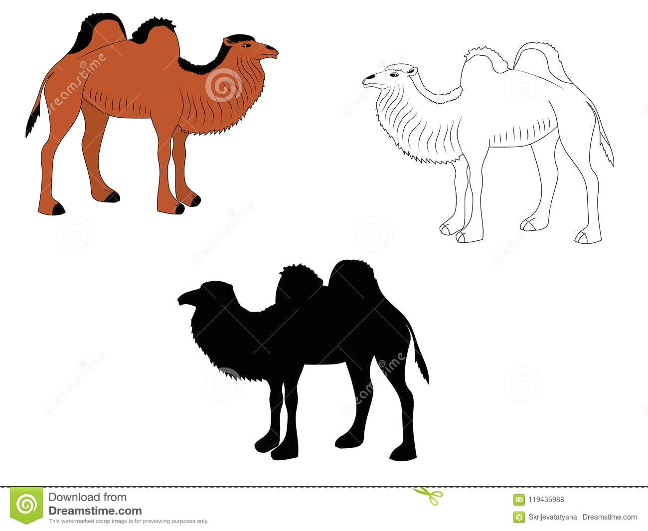 1300x1065 drawing a cartoon camel digital drawing of three camels stock - Camel Cartoon Drawing