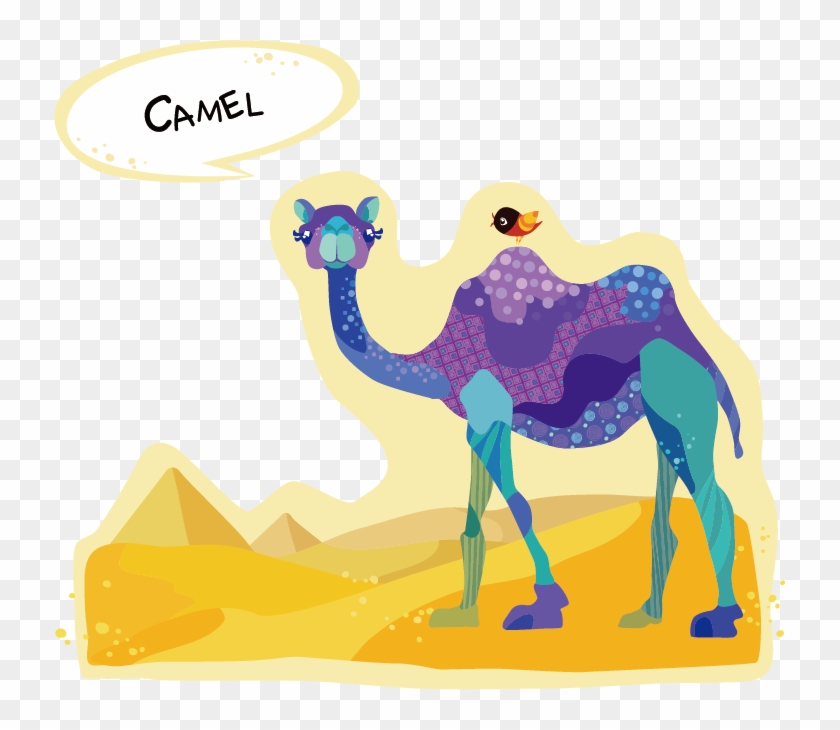 840x730 Dromedary Bactrian Camel Drawing Cartoon - Camel Cartoon Drawing