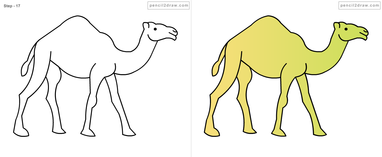 1250x516 Fpencil How To Draw Cartoon Camel Step - Camel Cartoon Drawing