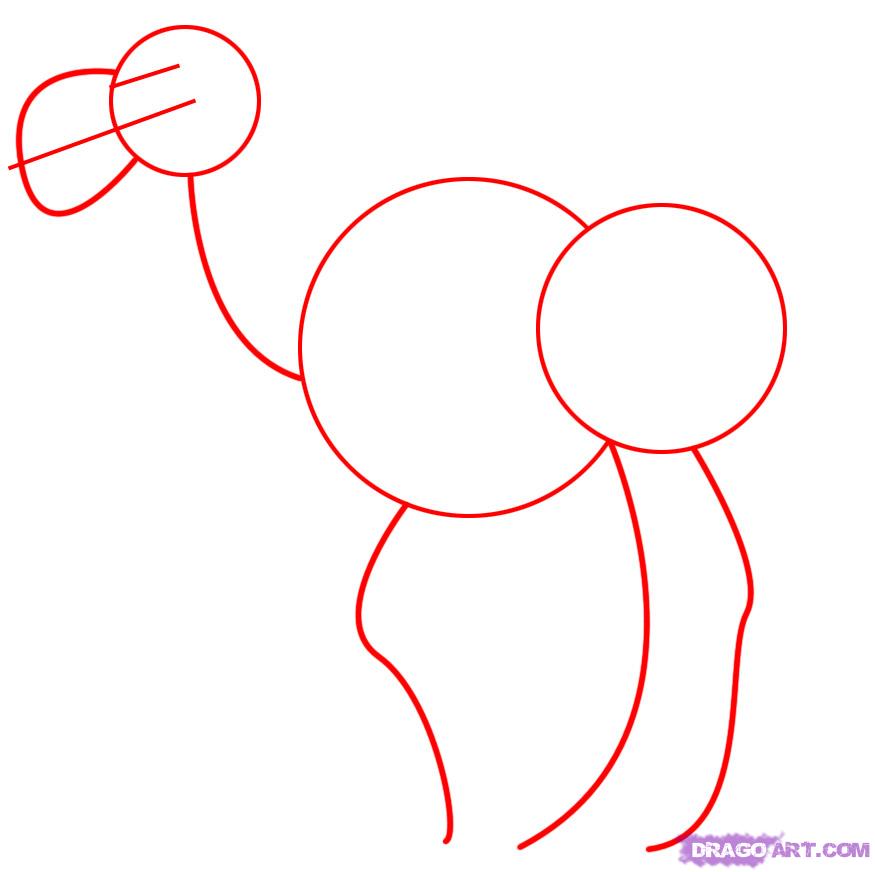 875x872 How To Draw A Cartoon Camel, Step - Camel Cartoon Drawing