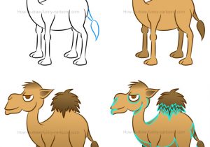 300x210 camel cartoon drawing how to draw a camel - Camel Cartoon Drawing