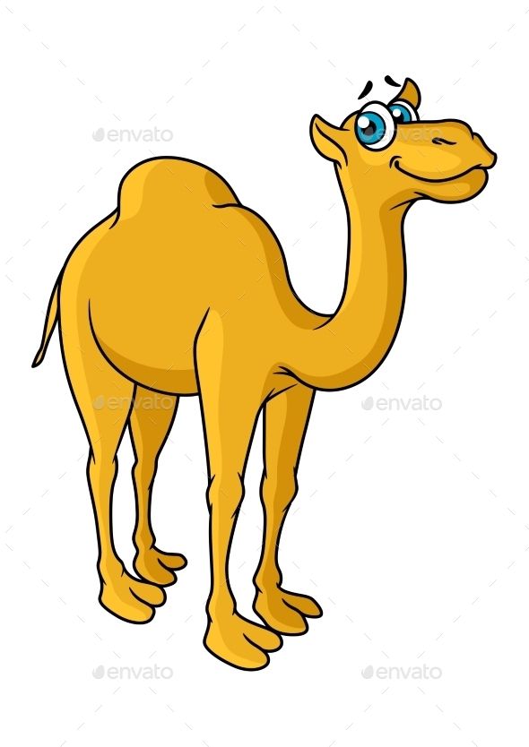 590x834 cartoon camel animal character onedaychallenge camel animal - Camel Cartoon Drawing
