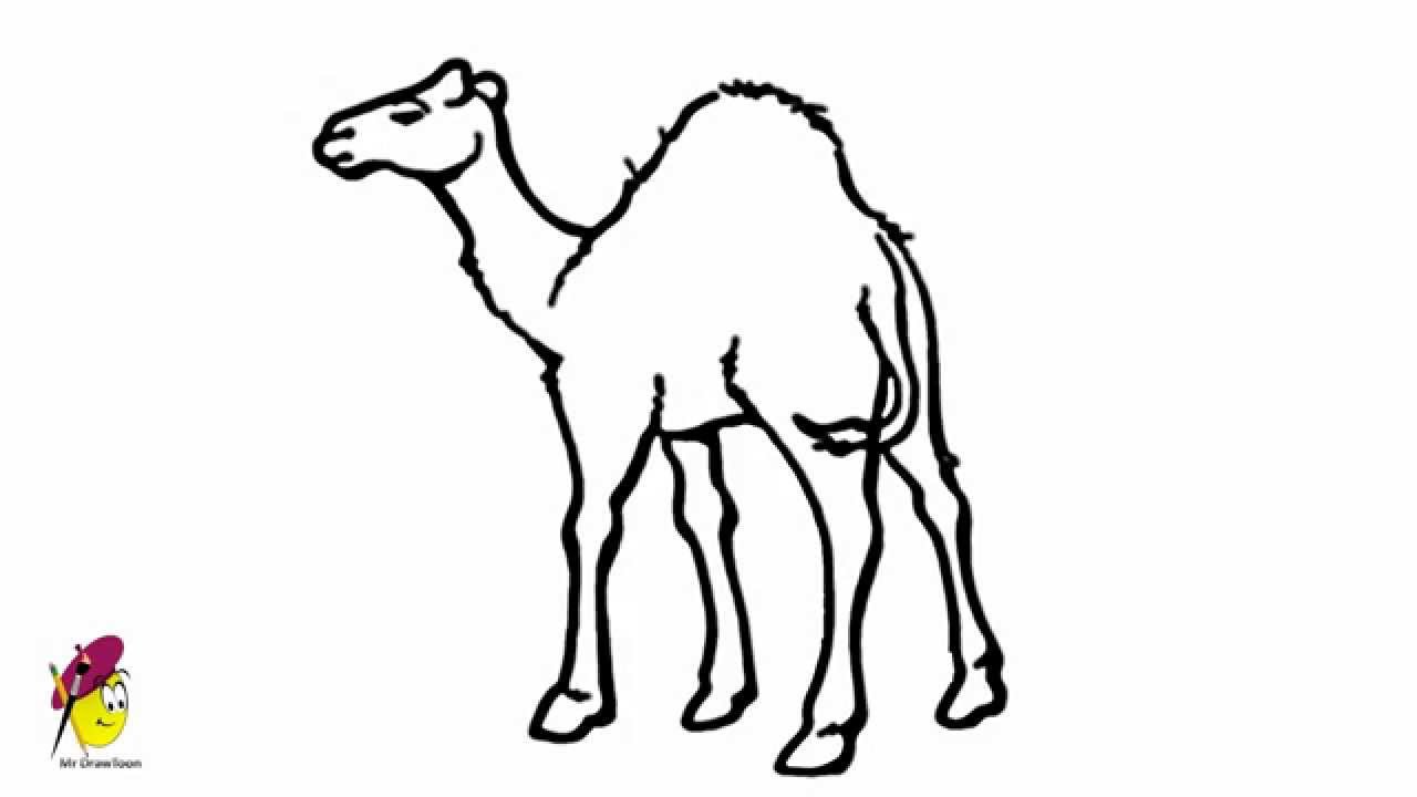 1280x720 Camel - Camel Drawing