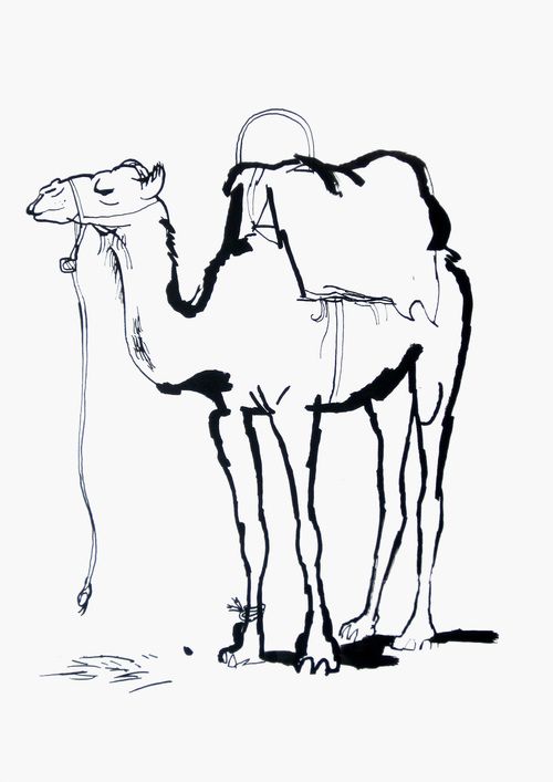 500x707 Ink In Art, Art Sketches, Camel - Camel Drawing