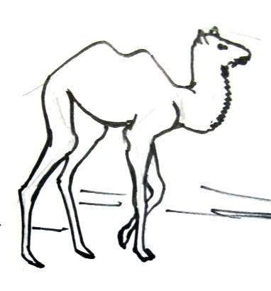 382x410 Camel Colt Drawing - Camel Drawing Book