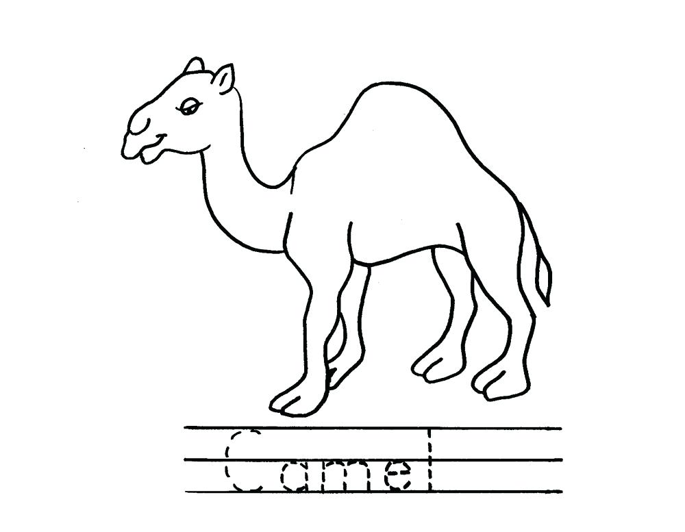 1000x777 Coloring Pages Online For Toddlers Unblocked Mandala Camel Drawing - Camel Drawing Book