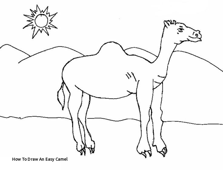 736x575 How To Draw An Easy Camel The Best Camels Images - Camel Drawing Book