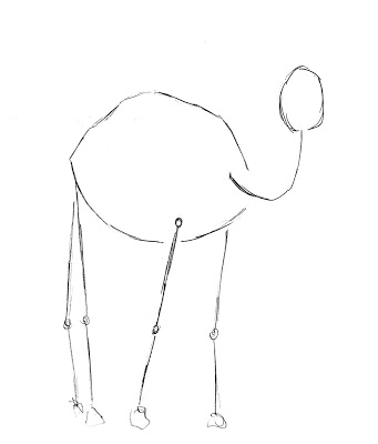 341x400 How To Draw A Camel Drawing Lessons - Camel Drawing Book