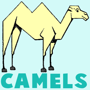 300x300 Drawing Camels With Easy Steps Instructional Lesson For Beginners - Camel Drawing For Kids