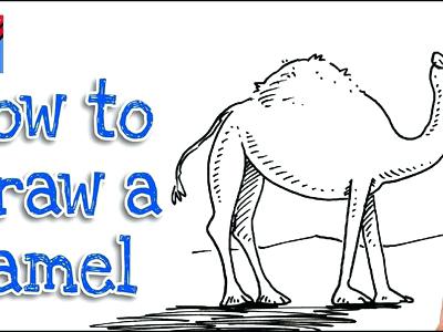 400x300 How To Draw A Camel Draw How To Draw A Jacket Easy Step - Camel Drawing For Kids