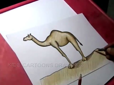 480x360 How To Draw Camel Drawing For Kids Step - Camel Drawing For Kids