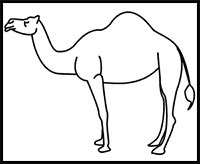 200x164 How To Draw Camels Drawing Tutorials Drawing How To Draw - Camel Drawing For Kids