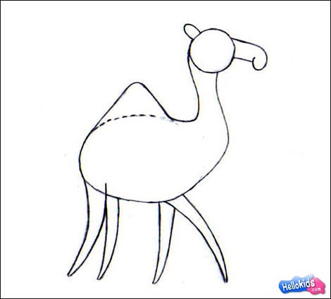 470x424 How To Draw Camel - Camel Drawing For Kids
