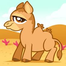 220x220 How To Draw How To Draw A Camel For Kids - Camel Drawing For Kids