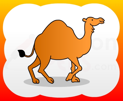 503x415 How To Draw Camel For Kids - Camel Drawing For Kids