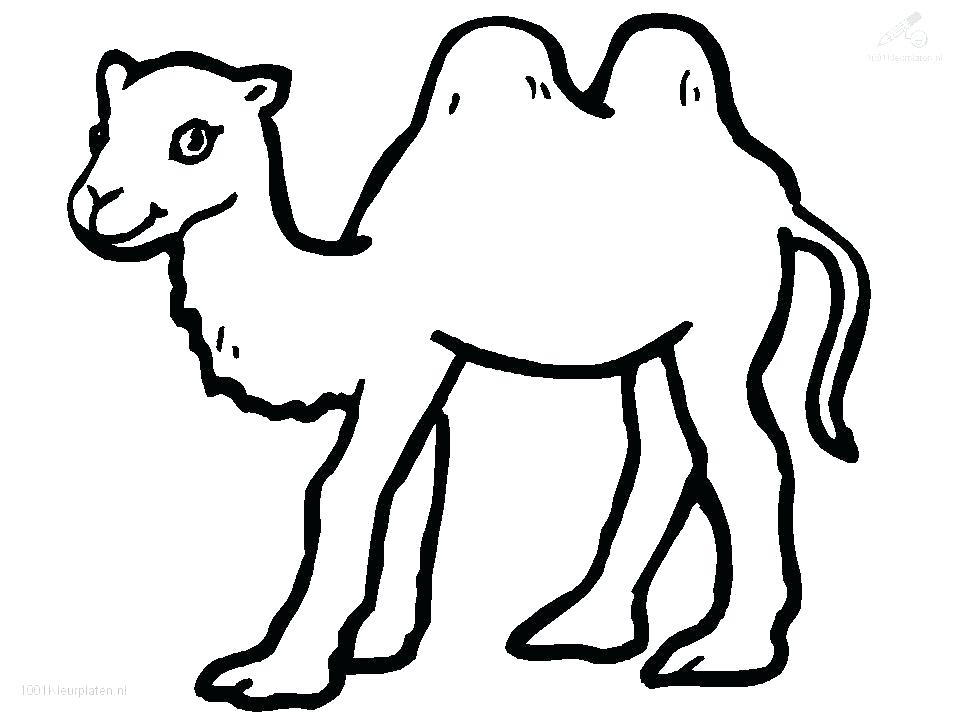 957x718 Camel Coloring - Camel Drawing For Kids