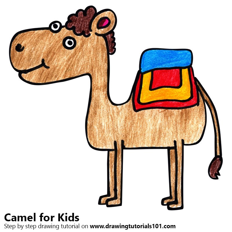 800x800 Learn How To Draw A Camel For Kids - Camel Drawing For Kids