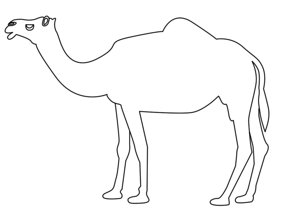 1024x720 Many More Type Drawings Available Of Easy Drawing To Kids Blog - Camel Drawing For Kids