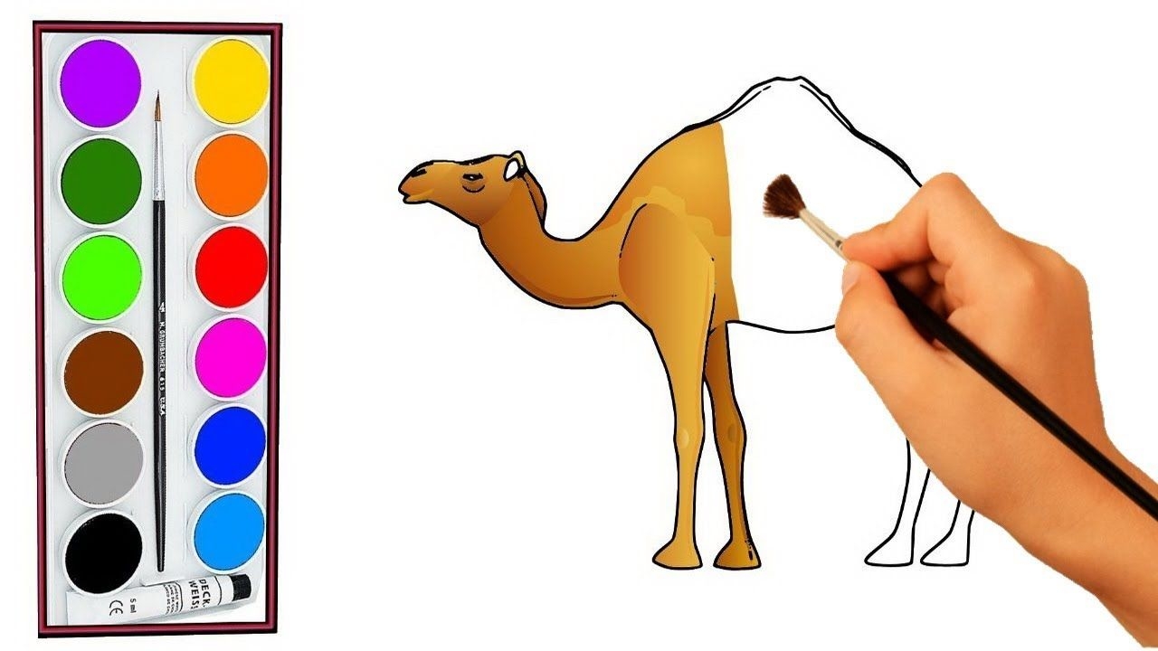 1280x720 Camel Draw Coloring Book For Children Animal Coloring Pages - Camel Drawing For Kids
