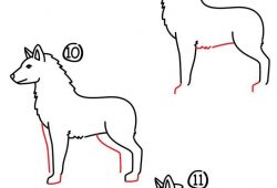 250x170 Camel Drawing Easy For Kids - Camel Drawing For Kids