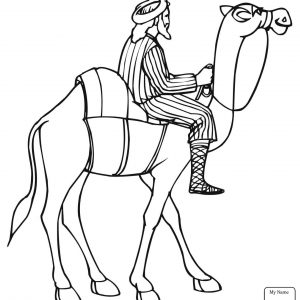 300x300 camel drawing valid camel drawing for kids at getdrawings - Camel Drawing For Kids