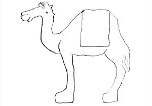 300x210 How To Draw A Camel For Kids Step - Camel Drawing Images