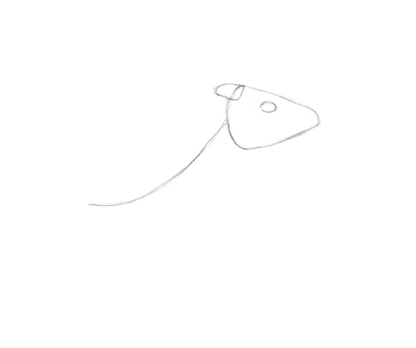 850x711 How To Draw A Camel - Camel Drawing Images