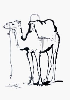 236x333 Camel Drawings - Camel Drawing Images