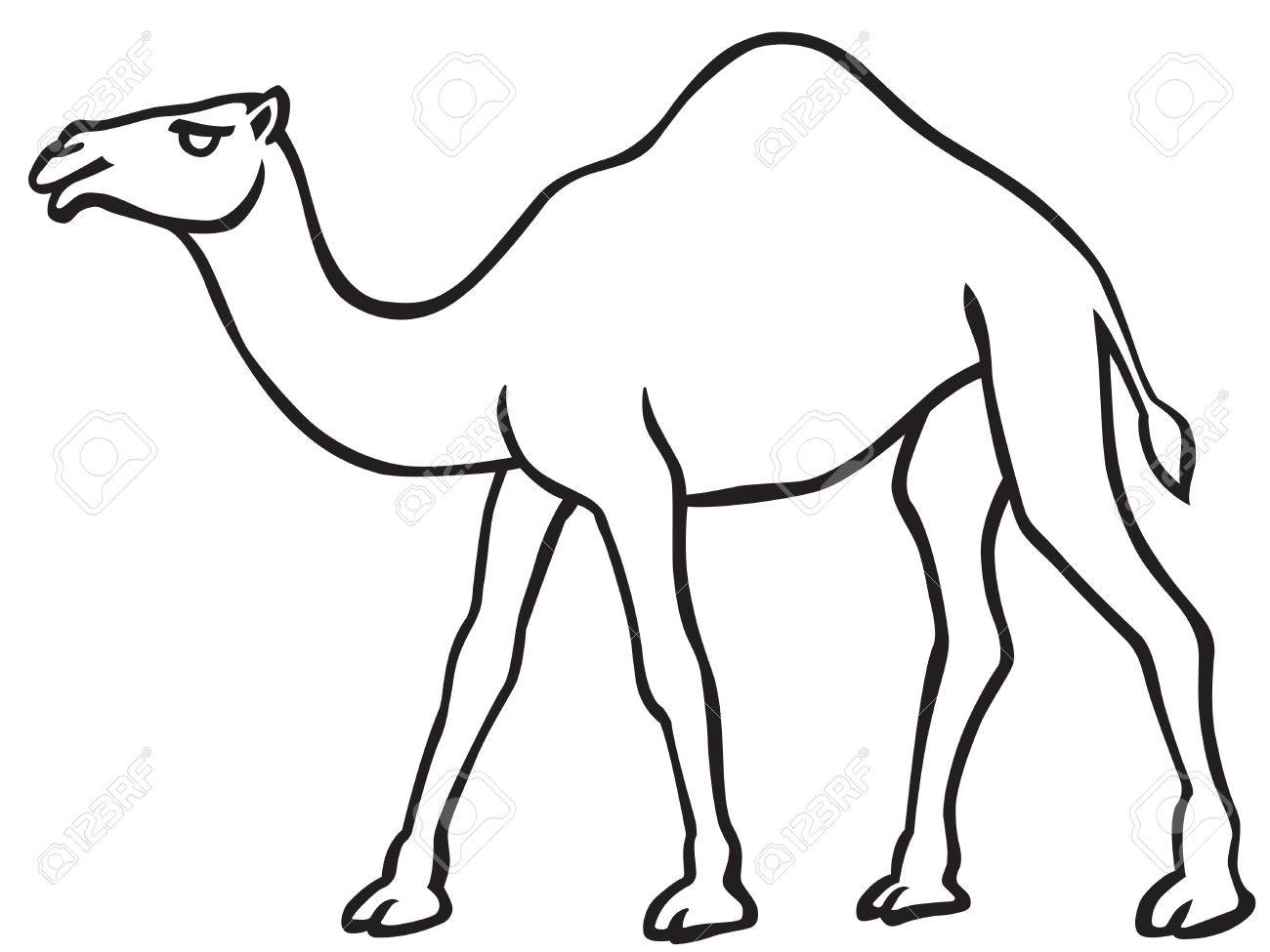 camel-drawing-outline-at-paintingvalley-explore-collection-of