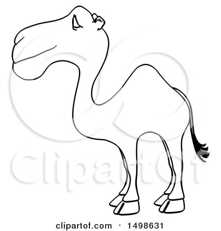 450x470 Clipart Of A Camel Outline, On A White Background - Camel Drawing Outline