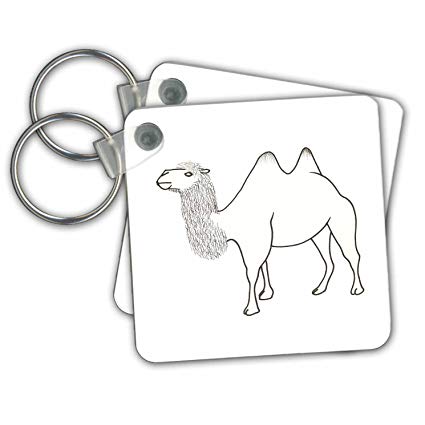 425x425 two hump camel outline art drawing key chains - Camel Drawing Outline