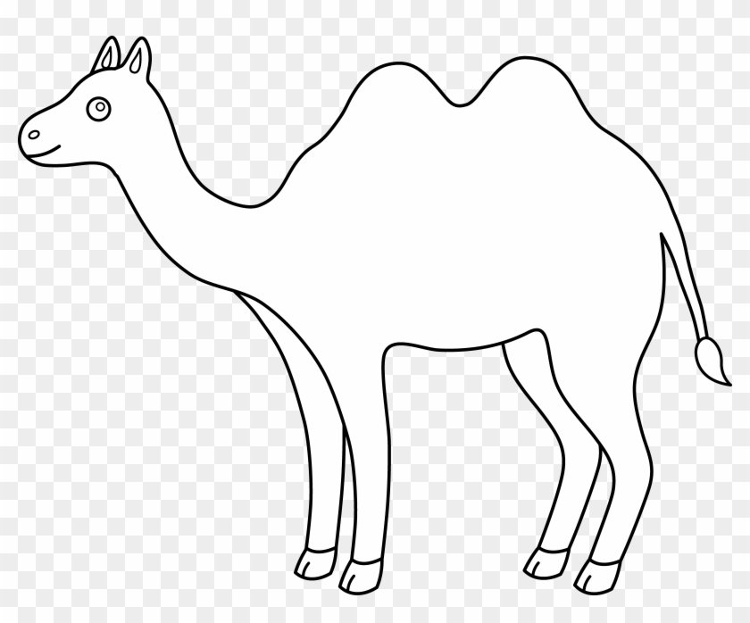 840x698 Colorable Outline Camel Free Clip Art Car Pictures - Camel Drawing Outline